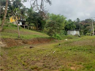Foto 29 de VENTA  FINCA EN TOCOTA DAGUA. W 7983529  L.G