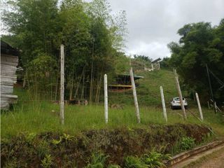 Foto 27 de VENTA  FINCA EN TOCOTA DAGUA. W 7983529  L.G