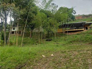 Foto 20 de VENTA  FINCA EN TOCOTA DAGUA. W 7983529  L.G