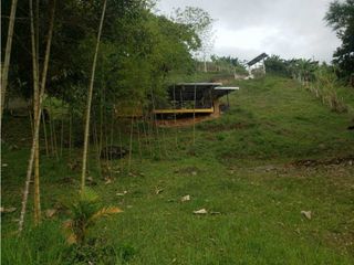 Foto 21 de VENTA  FINCA EN TOCOTA DAGUA. W 7983529  L.G
