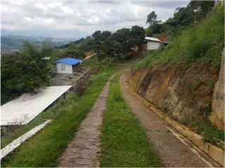 Foto 2 de VENTA  FINCA EN TOCOTA DAGUA. W 7983529  L.G