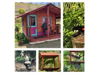 Foto 16 de Se vende casa campestre en El Carmen JV - JPG (W7983660)