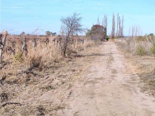 Foto 11 de VENTA DE FINCA 21 HAS EN ANDRADE - RIVADAVIA, MENDOZA.