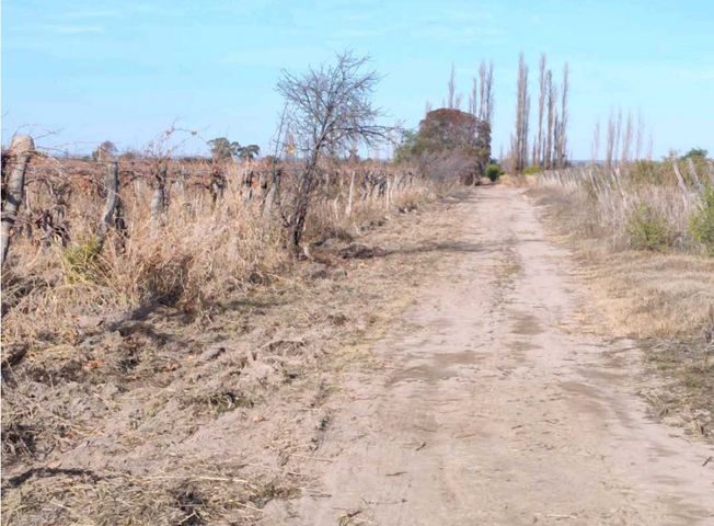 place photo 11