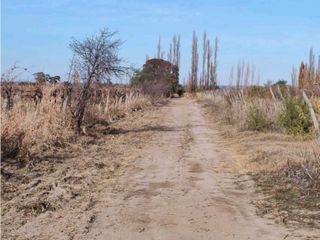 Foto 6 de VENTA DE FINCA 21 HAS EN ANDRADE - RIVADAVIA, MENDOZA.