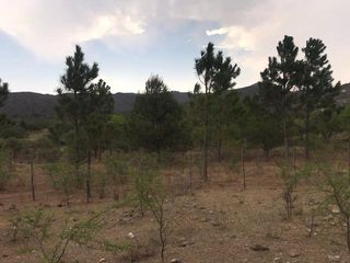Foto 54 de Terreno - Valle Buena Esperanza