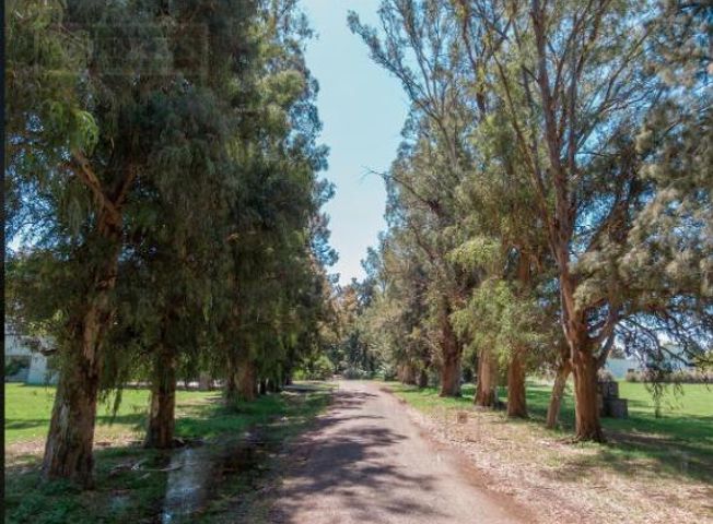 place photo 20