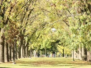 Foto 10 de Hermoso lote Perimetral en Pilar del Este - Santa Elisa