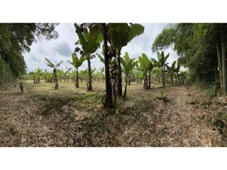 VENTA LOTE -  PUEBLO TAPAO