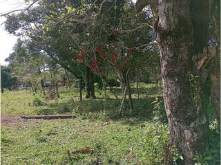 Foto 9 de Terreno apto emprendimiento Turismo. Puerto Libertad. Mnes