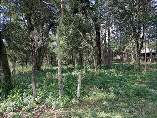 Foto 4 de Terreno apto emprendimiento Turismo. Puerto Libertad. Mnes