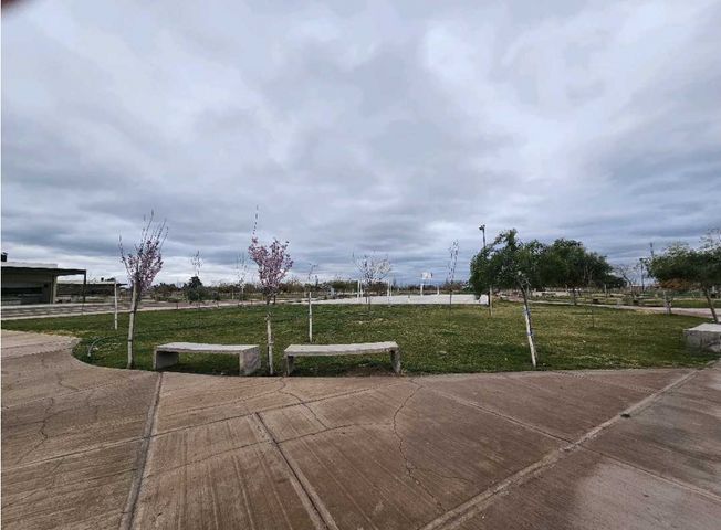 place photo 12