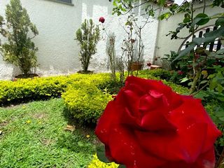 Foto 1 de VENTA de CASAS en BOGOTA