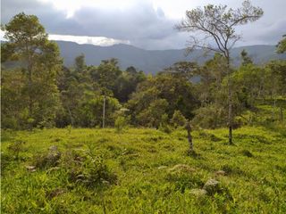 Foto 15 de SE VENDE FINCA A 20 MINUTOS DE LA CUMBRE VALLE C-AG 6749494
