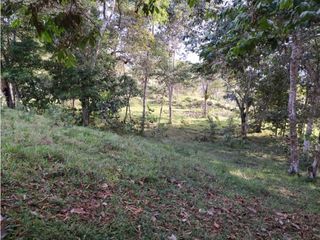 Foto 20 de SE VENDE FINCA A 20 MINUTOS DE LA CUMBRE VALLE C-AG 6749494