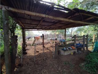 Foto 8 de SE VENDE FINCA A 20 MINUTOS DE LA CUMBRE VALLE C-AG 6749494