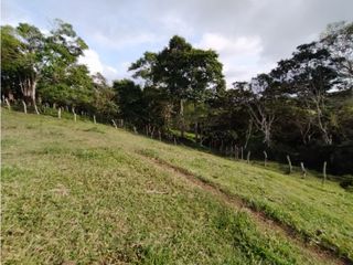 Foto 18 de SE VENDE FINCA A 20 MINUTOS DE LA CUMBRE VALLE C-AG 6749494