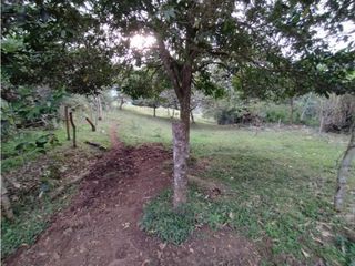 Foto 17 de SE VENDE FINCA A 20 MINUTOS DE LA CUMBRE VALLE C-AG 6749494