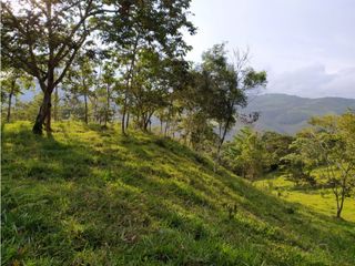 Foto 16 de SE VENDE FINCA A 20 MINUTOS DE LA CUMBRE VALLE C-AG 6749494