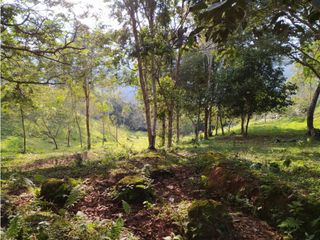 Foto 19 de SE VENDE FINCA A 20 MINUTOS DE LA CUMBRE VALLE C-AG 6749494