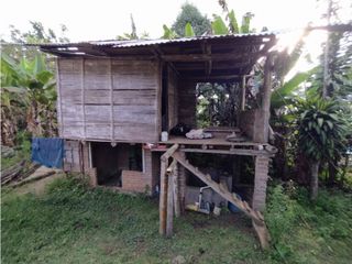 Foto 10 de SE VENDE FINCA A 20 MINUTOS DE LA CUMBRE VALLE C-AG 6749494