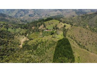 VENTA DE FINCA EN GOMEZ PLATA