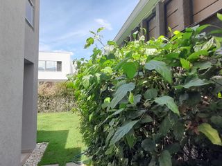 Venta De Casa Moderna,condominio Casaterra Alfaguara Jamundi