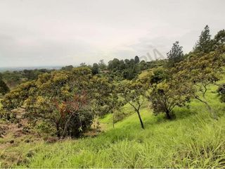 En Venta Lote En Jamundí, Valle Del Cauca