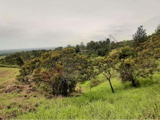 En Venta Lote En Jamundí, Valle Del Cauca