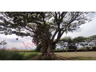 En Venta Lote En Jamundí, Valle Del Cauca