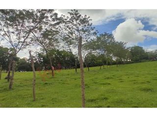 En Venta Lote En Palmira, Valle Del Cauca