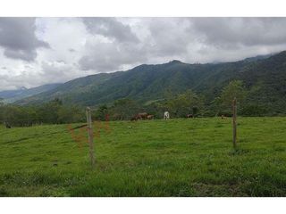 En Venta Lote En Palmira, Valle Del Cauca