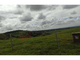 En Venta Lote En Palmira, Valle Del Cauca