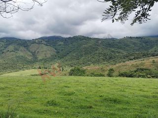 En Venta Lote En Palmira, Valle Del Cauca