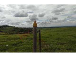 En Venta Lote En Palmira, Valle Del Cauca