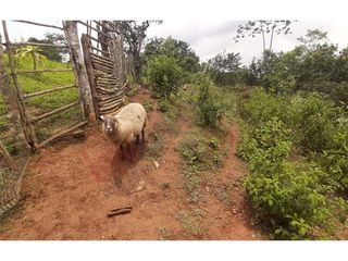 En Venta Finca En Vereda El Otoño, Cali