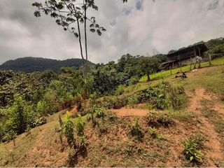 En Venta Finca En Vereda El Otoño, Cali