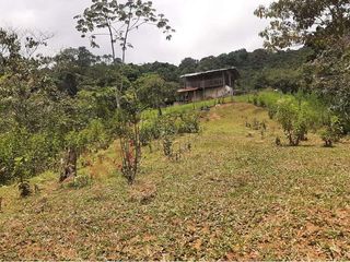 En Venta Finca En Vereda El Otoño, Cali