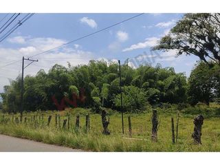 totalmente plana, al borde de carretera-9370