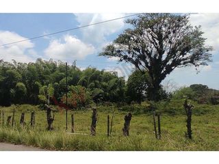 totalmente plana, al borde de carretera-9370