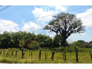 totalmente plana, al borde de carretera-9370