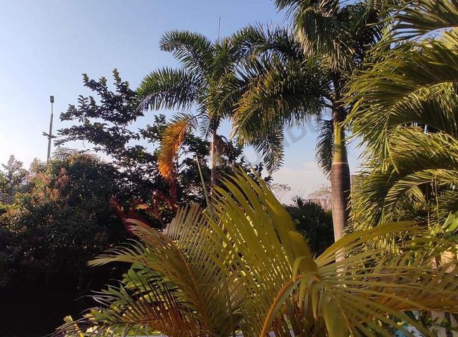 place photo 26