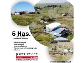 Foto 1 de Campo en venta en Brandsen. 5 Has sobre ruta 215