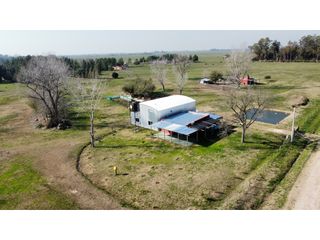 Foto 4 de Campo en venta en Brandsen. 5 Has sobre ruta 215
