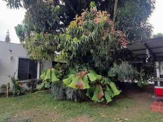 VENDO CASA CAMPESTRE UN PISO PARAISO DE LA MORADA JAMUNDI COLOMBIA