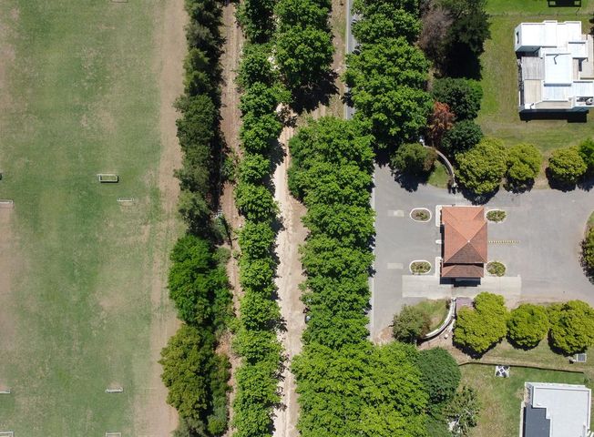 place photo 76