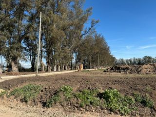 Foto 12 de Lote en venta Santa Sofia , Pilar del Este