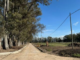 Foto 9 de Lote en venta Santa Sofia , Pilar del Este