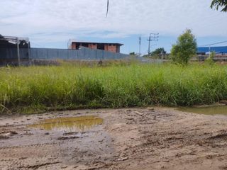 Foto 9 de En Venta Extenso Terreno de 5,000 m2 en Yurimaguas- Loreto