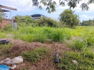 Foto 7 de En Venta Extenso Terreno de 5,000 m2 en Yurimaguas- Loreto